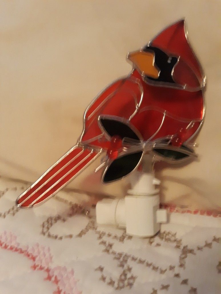 Cardinal Nightlight
