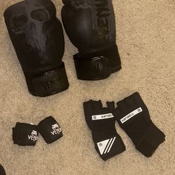 Venom 16 oz Boxing Gloves