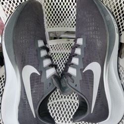 Nike Pegasus 37