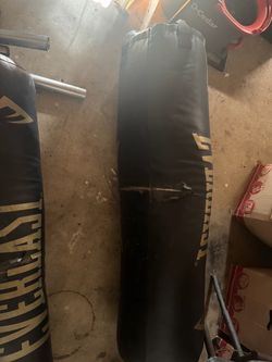Elite Everlast punching bags