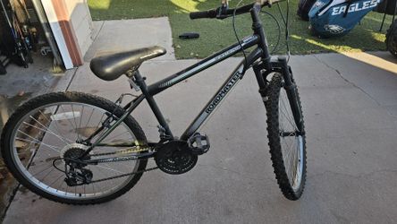 Roadmaster Bike
