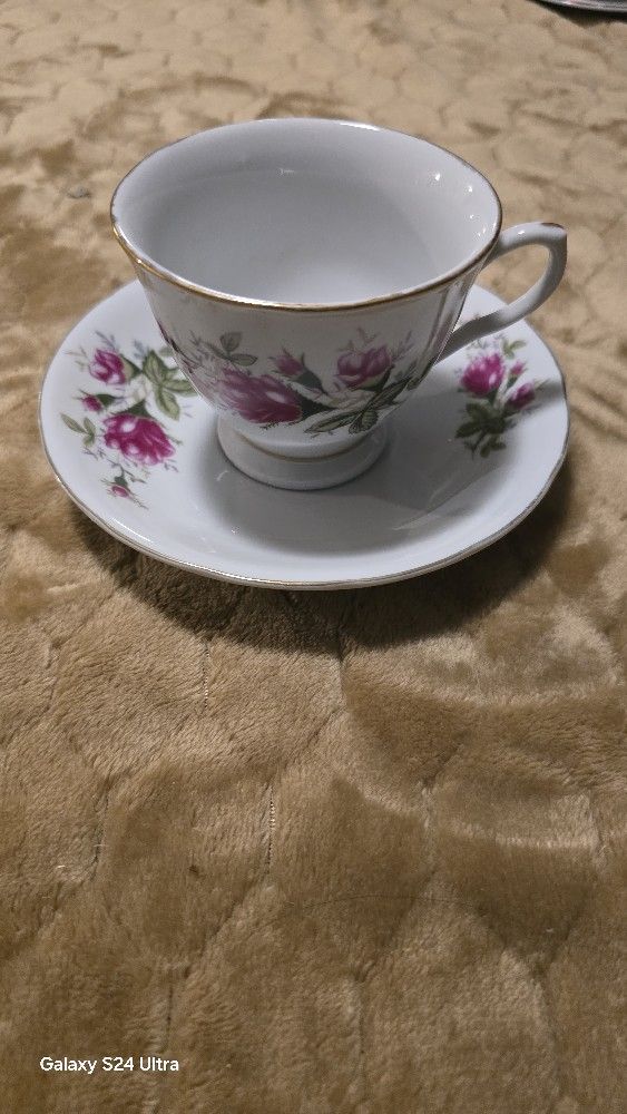 Tea Cup And Saucer Plate $20.00 OBO