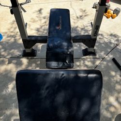 Workout Bench