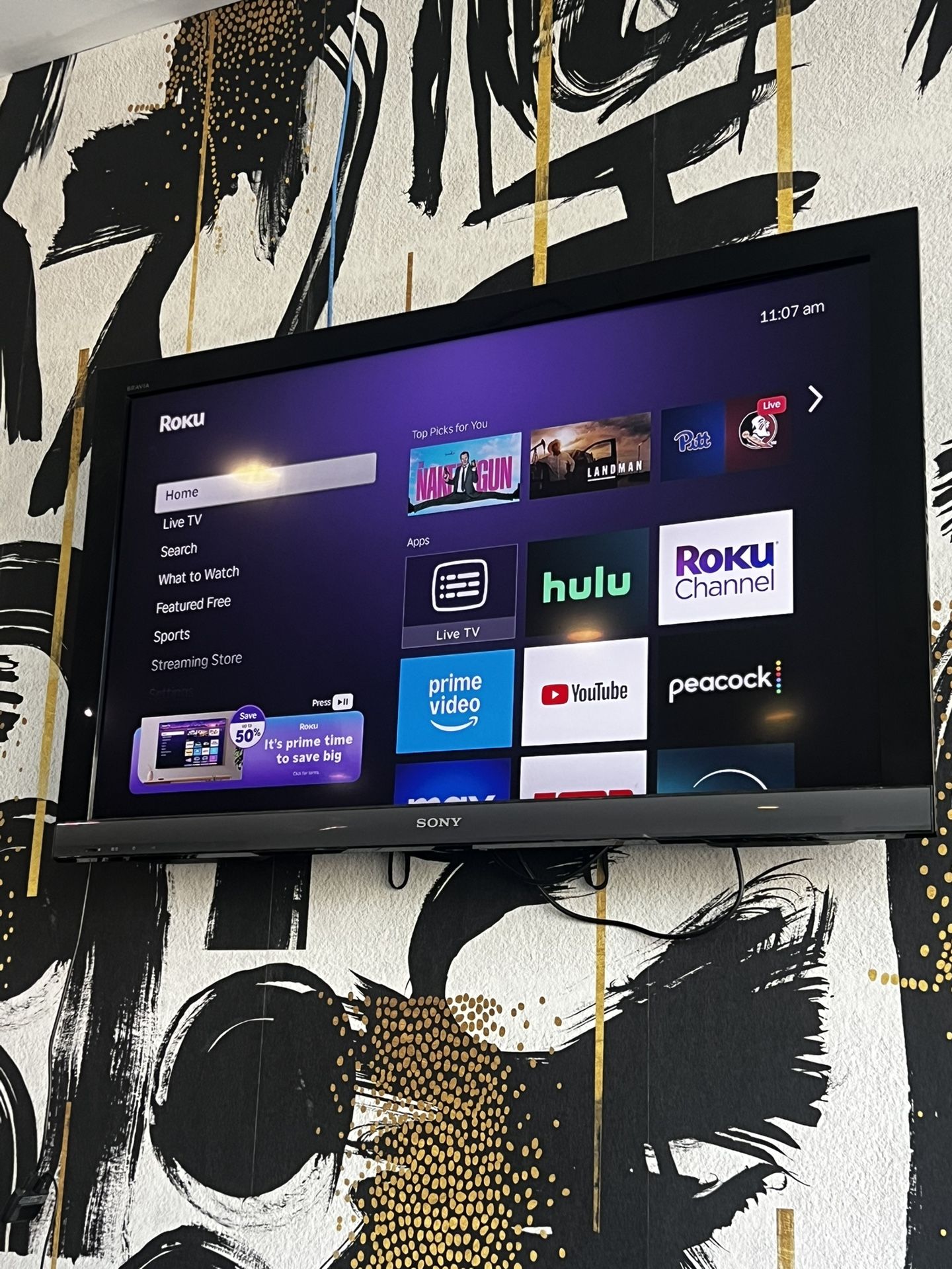 Sony TV + Roku
