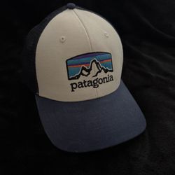 Patagonia SnapBack 