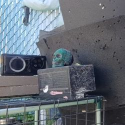 Handmade Wax Skull Targets – Color-Filled and Ready for Practice