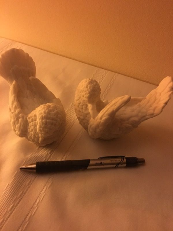 Birds