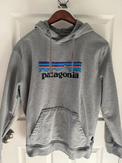 Men’s Patagonia Gray Hoodie