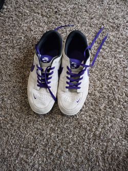Nike SB Force 58 White Purple Skate Shoes