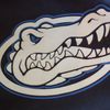 Gatorchamp44