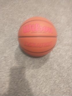 Mens Wilson evolution basketball