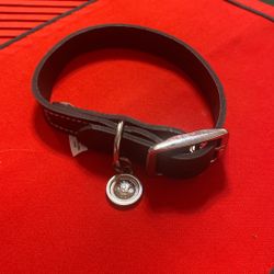 Bond&Go collar 
