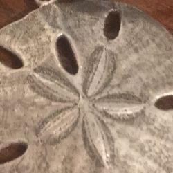 The legend Of The Sand Dollar