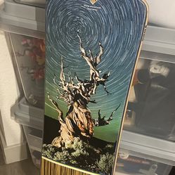 Sector Nine Longboard + protective gear