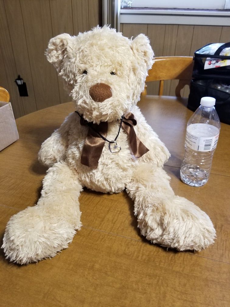 20 inch Teddy Bear with 10 inch Necklace