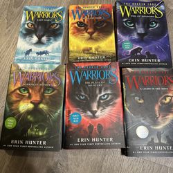 Warriors: The Broken Code Book Set
