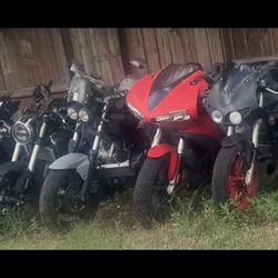 Project Sport And Cruiser ( Text Me For Faster Respond) 