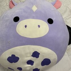 Squishy Pillow