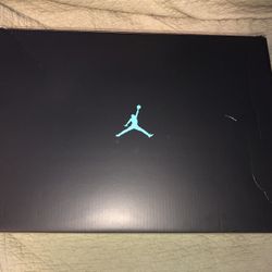 Jordan 11 Gamma 