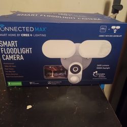 Smart Flood Light Camera 