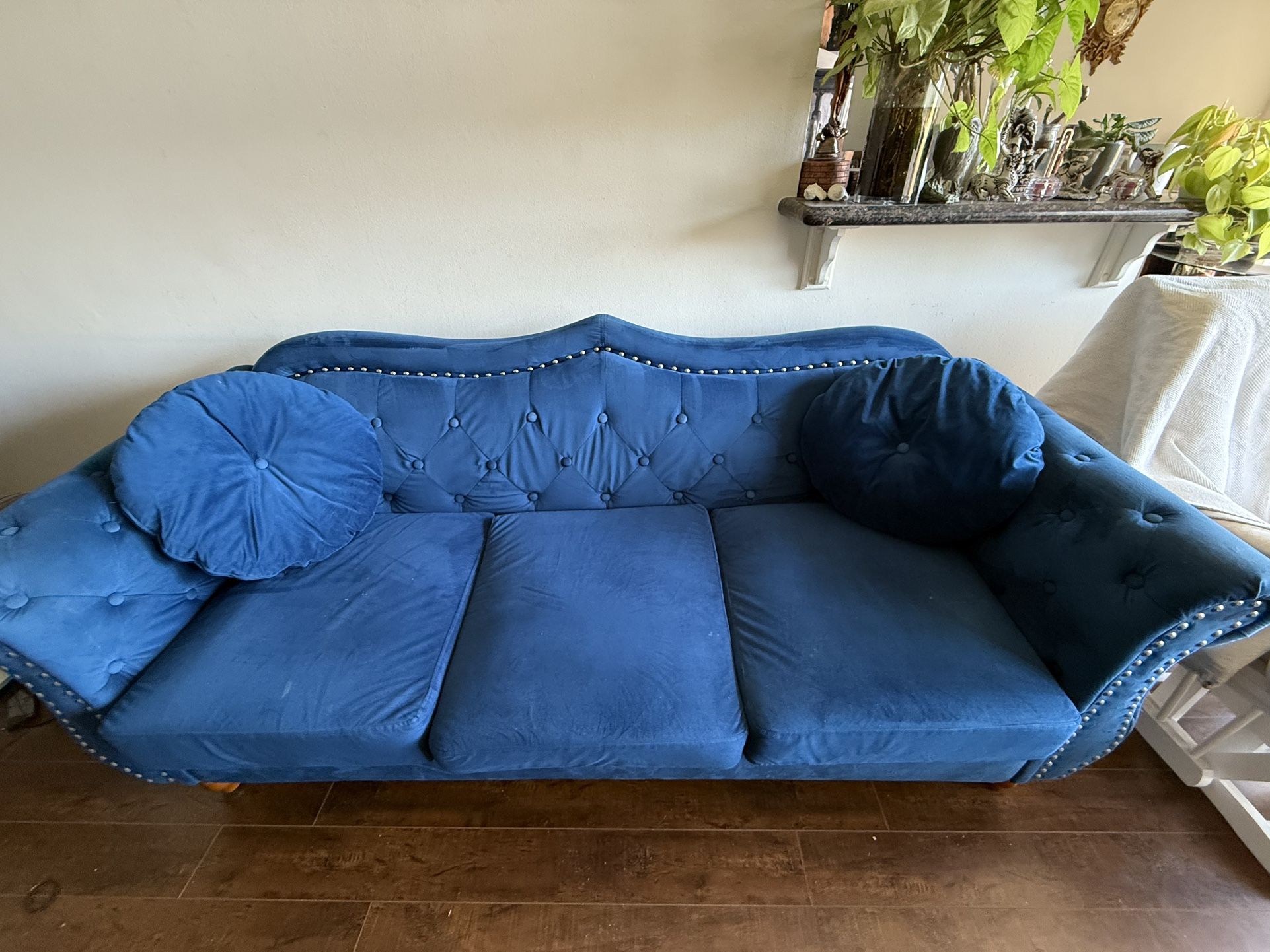 Transitional Velvet Sofa 