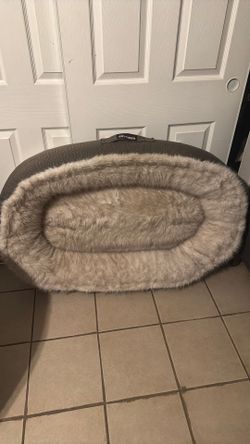 Big dog bed