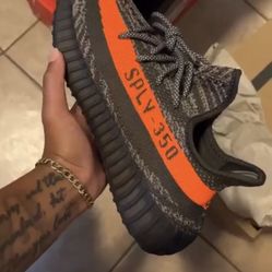 Yeezy 350 Carbon Beluga