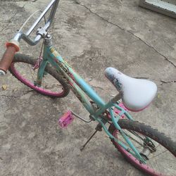 Kids Bike (Girl)