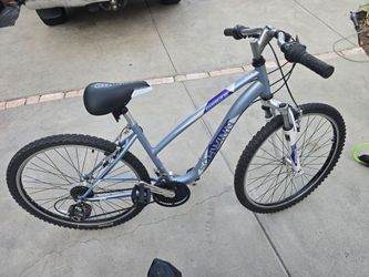 Schwinn Bicycle