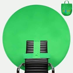 WEB AROUND BIG SHOT 56" PORTABLE GREEN SCREEN for CHAIR in EXCELLENT CONDITION!