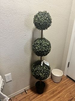 48 inch Topiary Tree from My Texas house