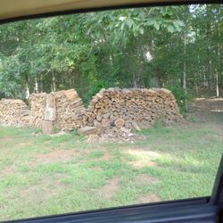 Red  Oak