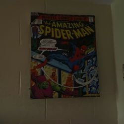 Limited Edition Poster