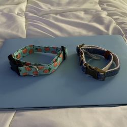 Brand New Dog Collars