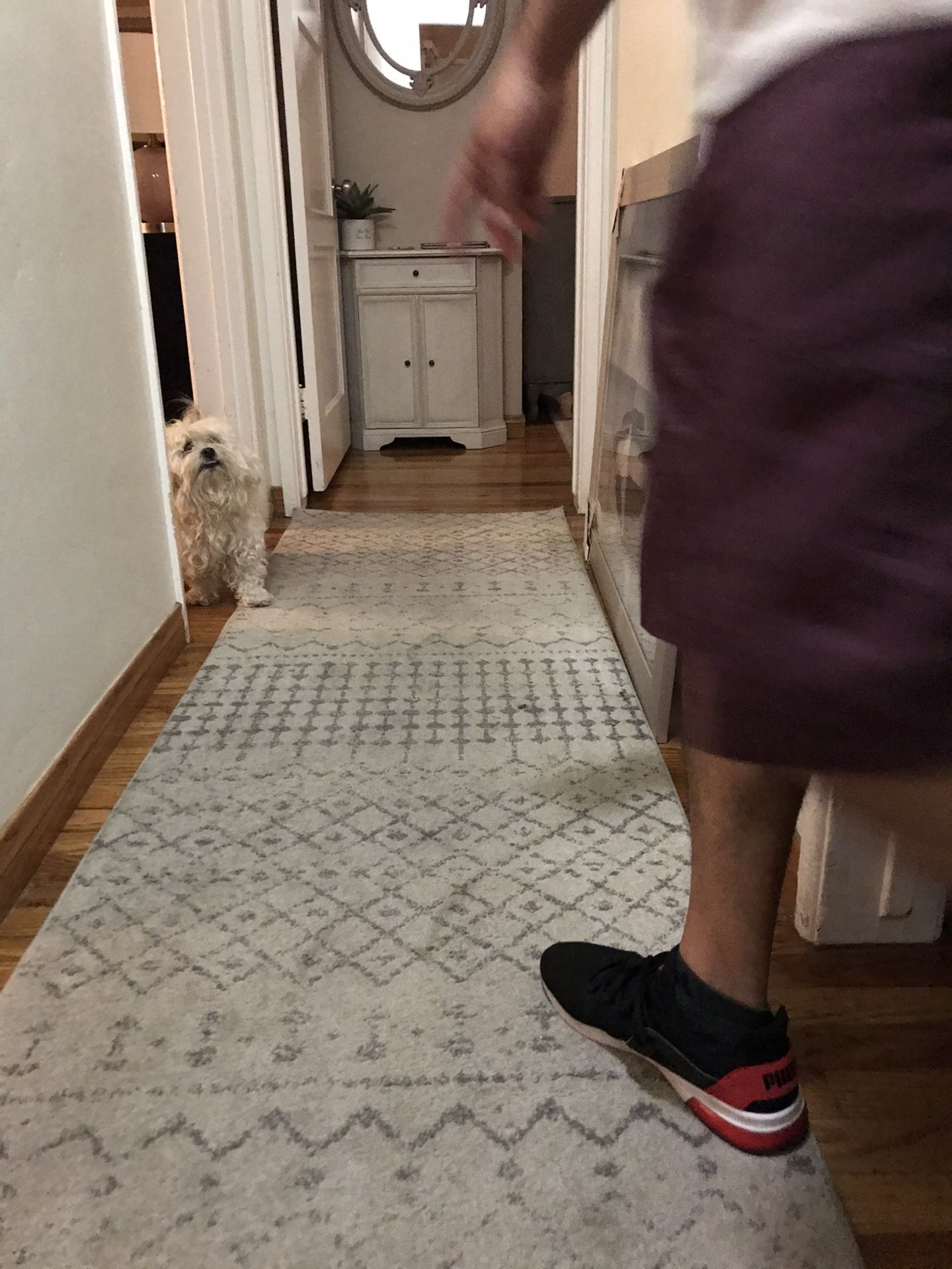 Rug /runner Gray