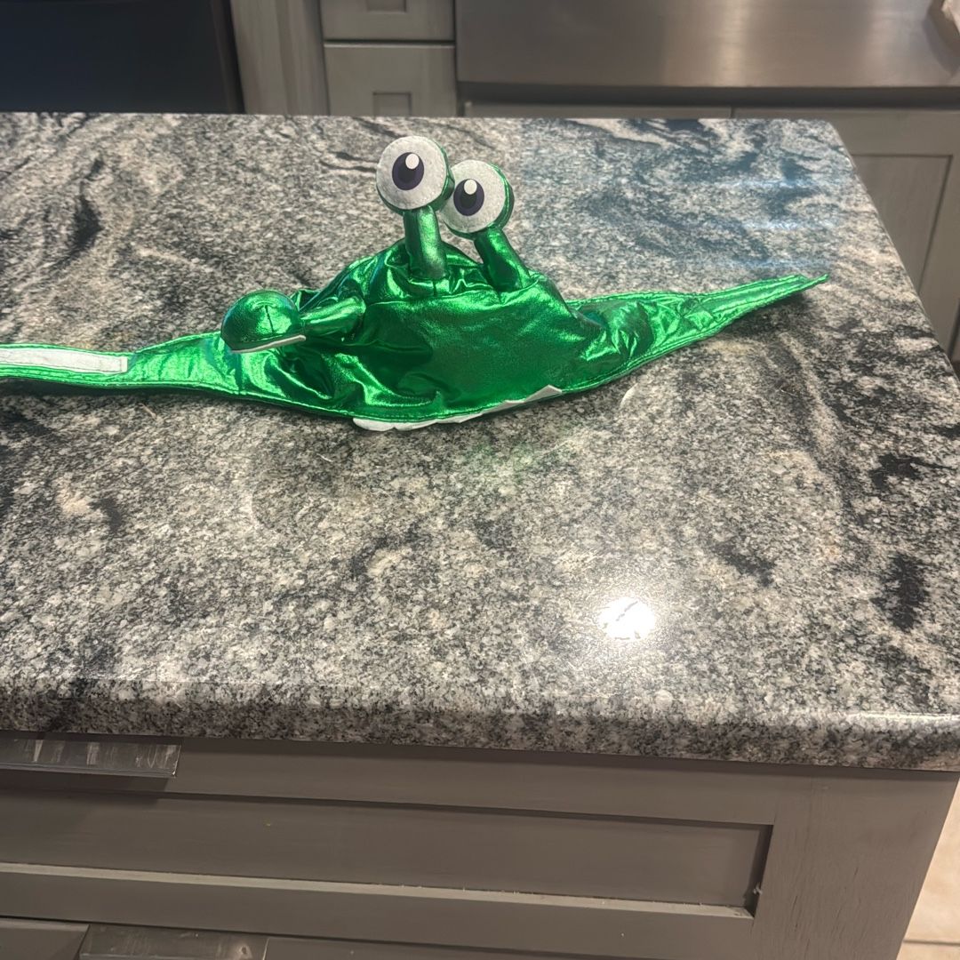 Image #1
