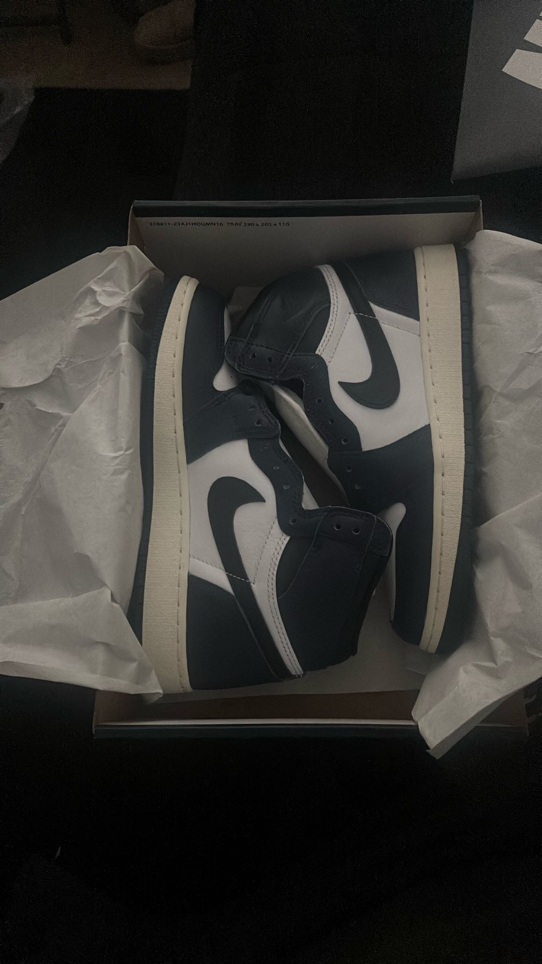 Jordan 1 Retro High OG GS