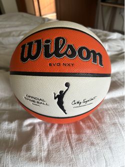 Wilson evo nxt official game ball