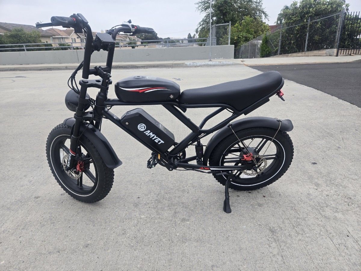 AMYET double battery hydraulic e bike  