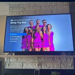 65 Inch Vizio