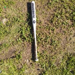 Demarini Softball Bat