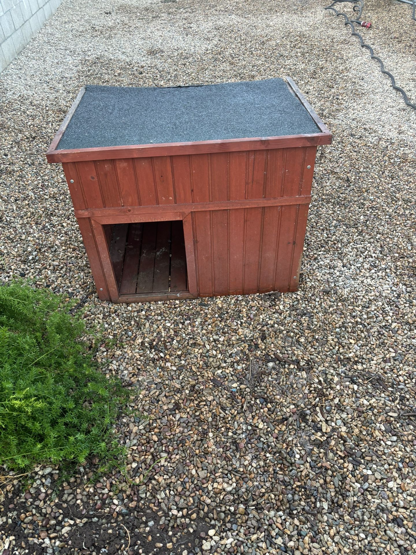 Free dog house