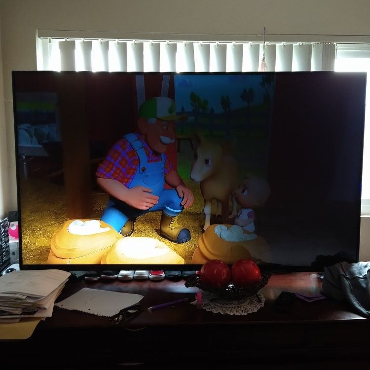 Vizio 60' Free