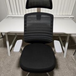 Branch Ergonomic Chair