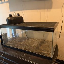 48-Gallon Glass Terrarium with Mesh Top & Double Light Hood