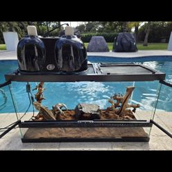 Large, secure glass Terrarium for Bearded Dragon