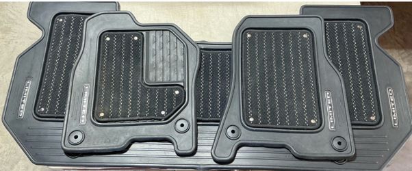 Ram 1500 limited floor mats.