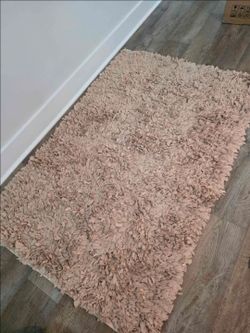 Beige Shag Area Rug
