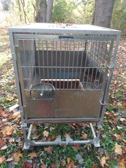 Vet style animal cage on wheels