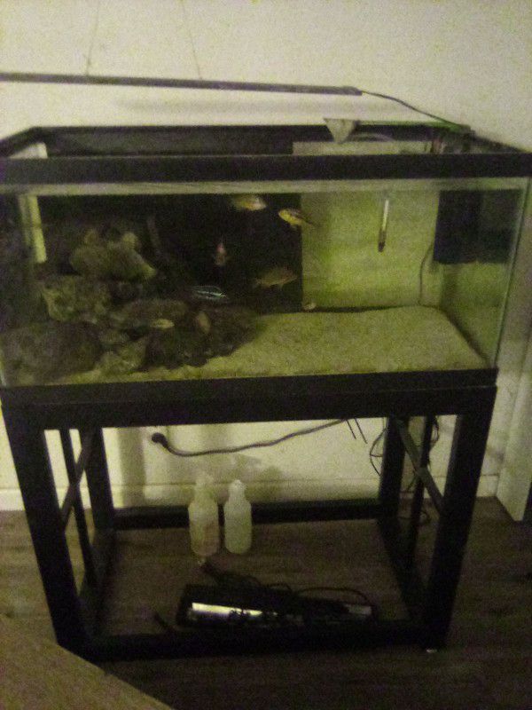 40 Breader Fish Tank